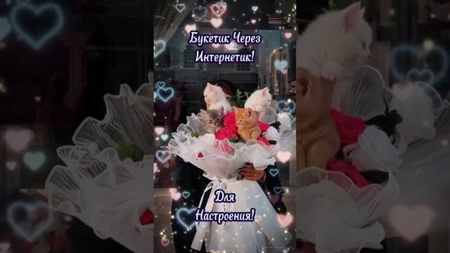 IMG_0807 смотреть онлайн