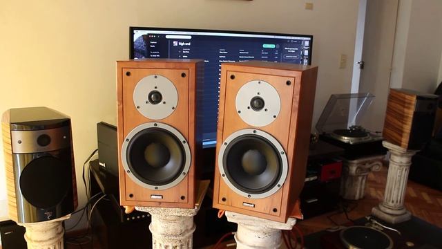 Dynaudio Special 25