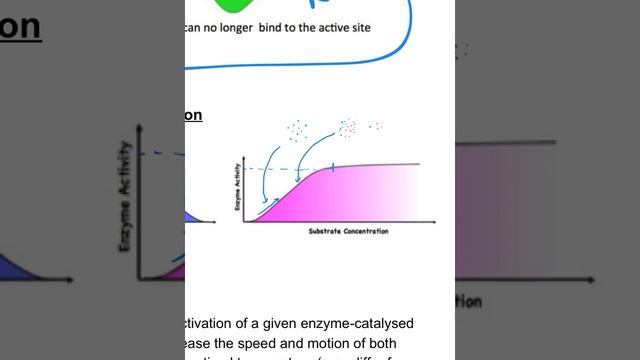 Factors affecting enzymes смотреть онлайн