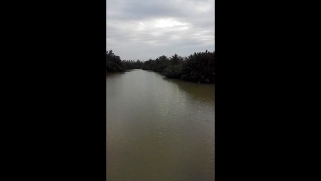 Somewhere my love - Maurice Jarre - Guitar Dương Hạ Châu смотреть онлайн