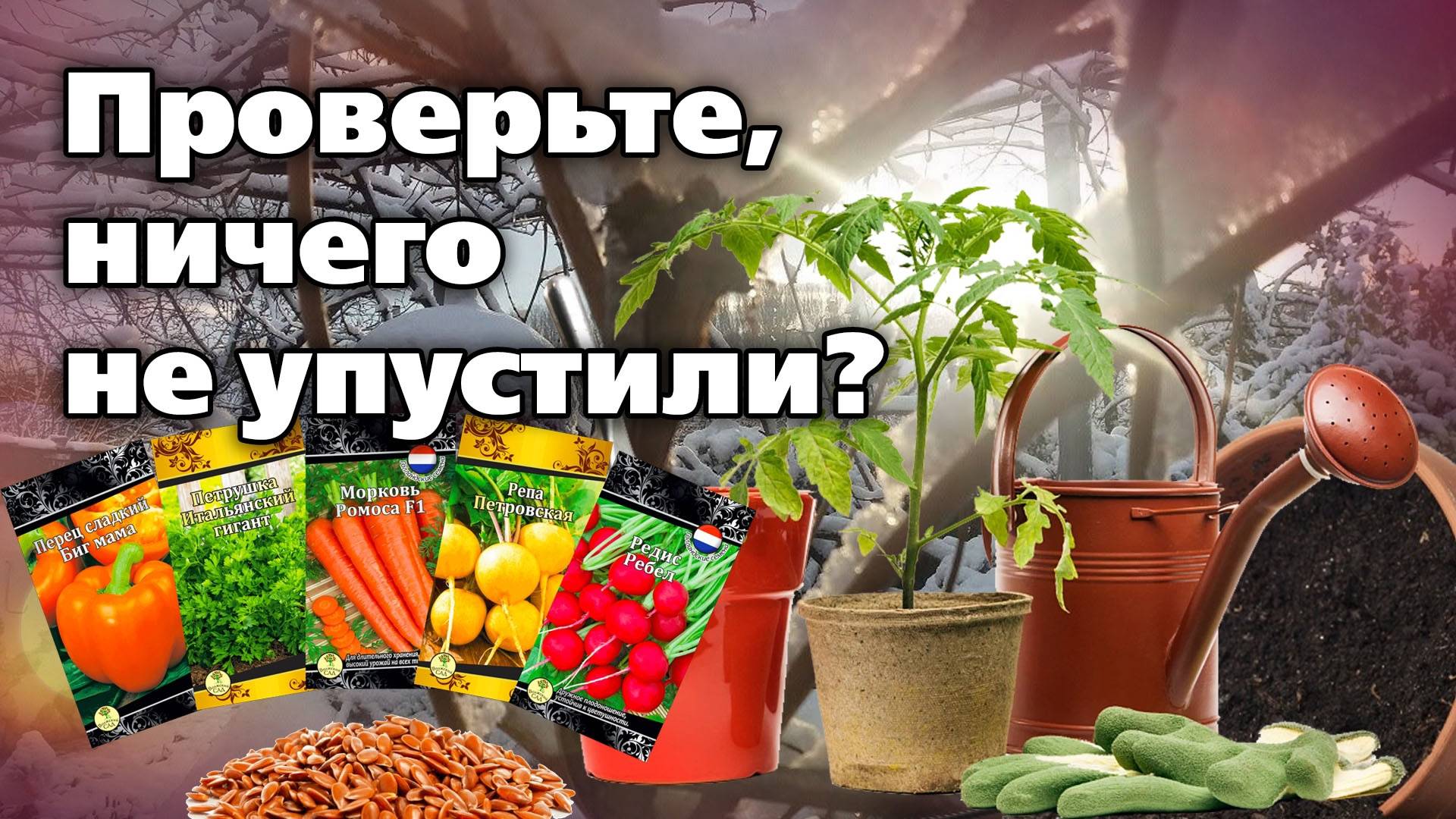 ТОП-10 работ садовода на участке и дома в декабре смотреть онлайн