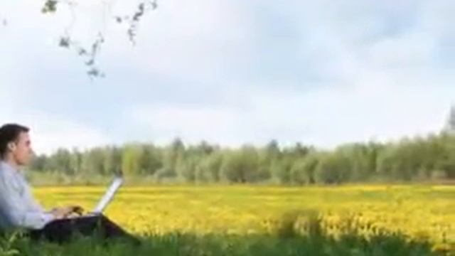La Epopeya del Arbol смотреть онлайн