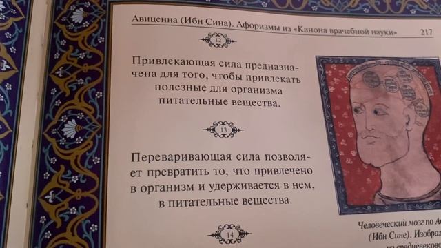 Афоризмы Авиценны: Переваривающая сила позволяет …/09.07.21 смотреть онлайн