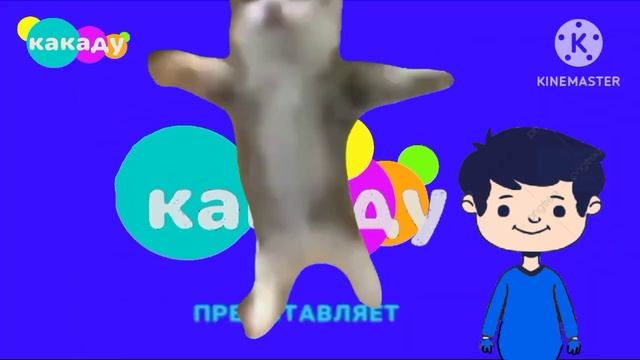 Кот Хапи Хапи Хапи мешает смотреть Какаду! смотреть онлайн