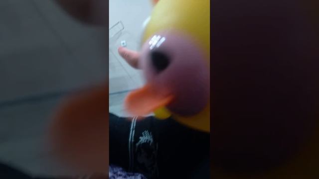 Игрушка дразнилка с языком медведь смотреть онлайн