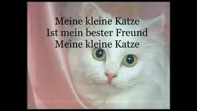 Meine Kleine Katze-песенка выносящая мозг смотреть онлайн