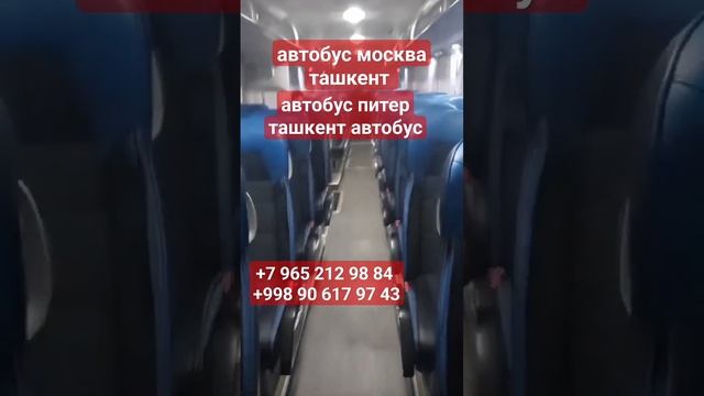 автобус москва ташкент автобус питер Ташкент #москва #ташкент #автобус #питер #спб #узбекистан смотреть онлайн