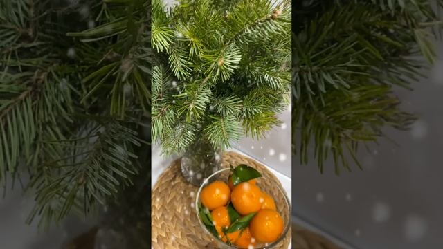 Новый год пахнет ёлкой и мандаринами. смотреть онлайн