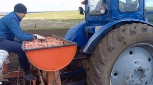 Самодельная картофелесажалка.