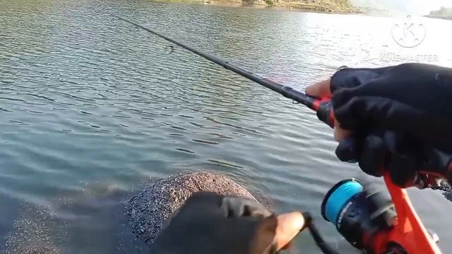 floating pops lure for blackbass/mangrove Jack смотреть онлайн
