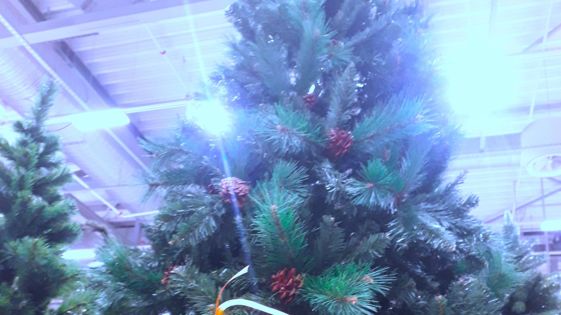 Предновогодняя лихорадка смотреть онлайн