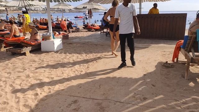 Ghazala Gardens 4* Шарм-Эль-шейх, Декабрь 2024.