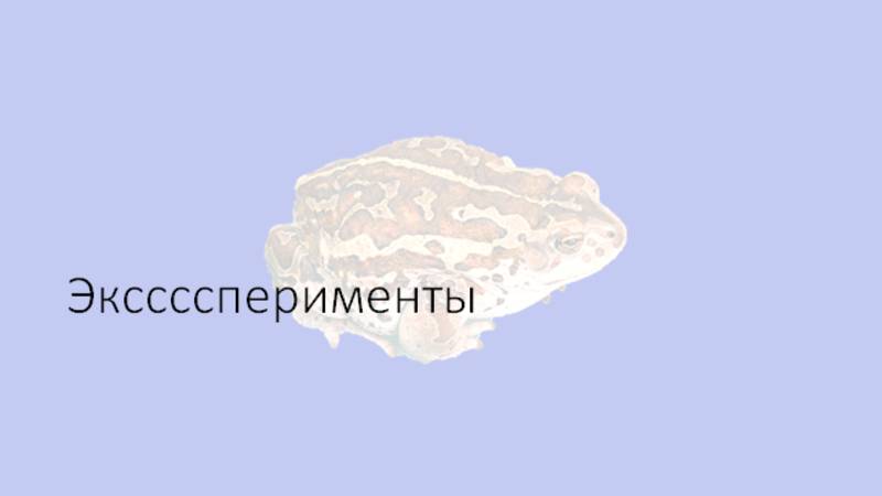 22 линия. Эксперимент