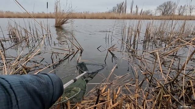РЫБАЛКА НА ПОПЛАВОК, ЖОР КАРАСЯ В КАМЫШАХ, ВЕСНА 2022 смотреть онлайн