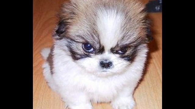 Hey there Dylan смотреть онлайн