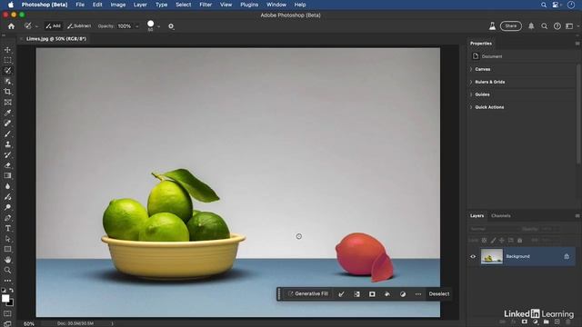 11-03 - Using the Object Select and Selection Brush tools смотреть онлайн