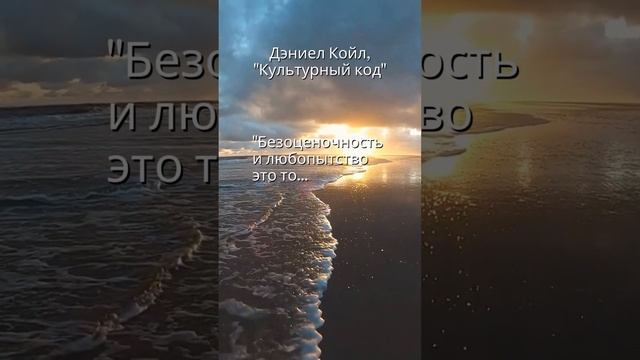 Дэниел Койл, «Культурный код» смотреть онлайн