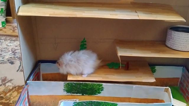 Приключения хомяка в лабиринте - 7 этажей! Maze for hamster! Хомяк в лабиринте. смотреть онлайн
