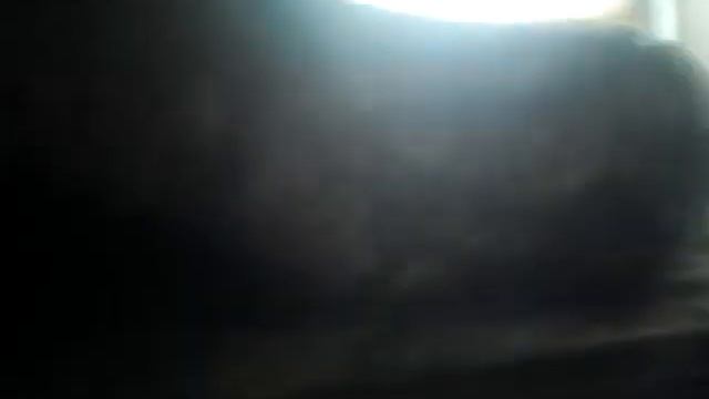 Не нармальная кошка Клеопатра(5) смотреть онлайн