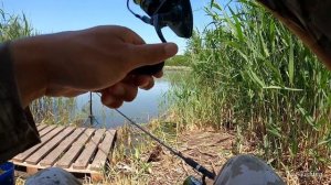 КРУПНЫЙ КАРАСЬ НА ФИДЕР, РЫБАЛКА НА РЕКЕ