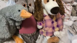 Басики проходят осмотр перед лагерем.