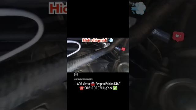 LADA Vesta🚘 Propan Gaz🔥 Polsha STAG®#guliston#sirdaryo#qof #metan#gaz ☎️90 610 00 97 Ulugʻbek✅#avto смотреть онлайн