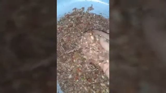 Перец фаршированный смотреть онлайн