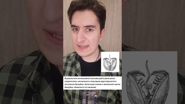 Глохидии на ЕГЭ смотреть онлайн