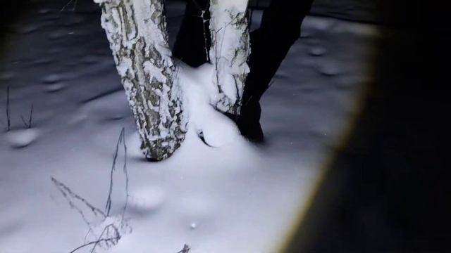 Новогодний сюрприз! Нашли березовый сок! смотреть онлайн