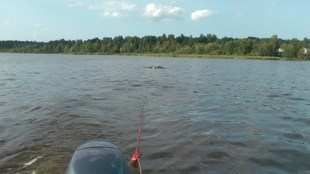 Ляля на вейке 2 смотреть онлайн