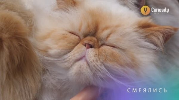 Ныряем в новый год!