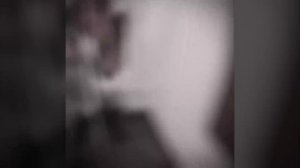 VID-20241214-WA0003.mp4