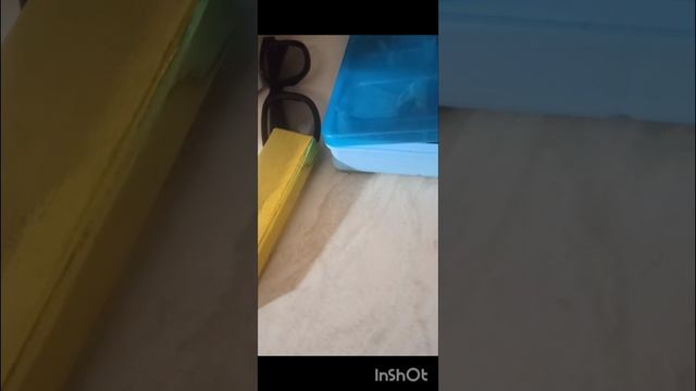 Я нашол в шоколадке Вилли вонки золотой билет!! смотреть онлайн
