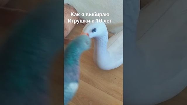 как я выбираю игрушки в 10 лет #блоптоп #шортс #хренобус #лиса #шлепа смотреть онлайн