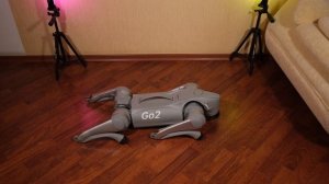 #2 Первые шаги робота собаки Go2