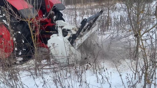 Работа трактора Беларус МУЛ 82 с лесным мульчером Niubo Micro Forest 160 смотреть онлайн
