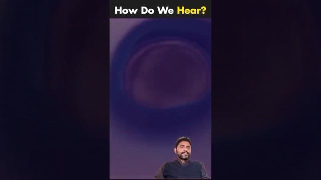 Working Of Human Ear | How Do We Hear? | Kam Sunai De To Kya Karna Chahiye?