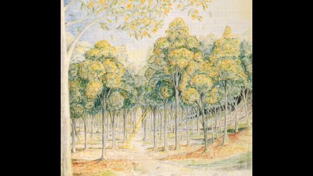 19. С.Курий - КветЛориэн (на ст. Д.Р.Р.Толкина) смотреть онлайн