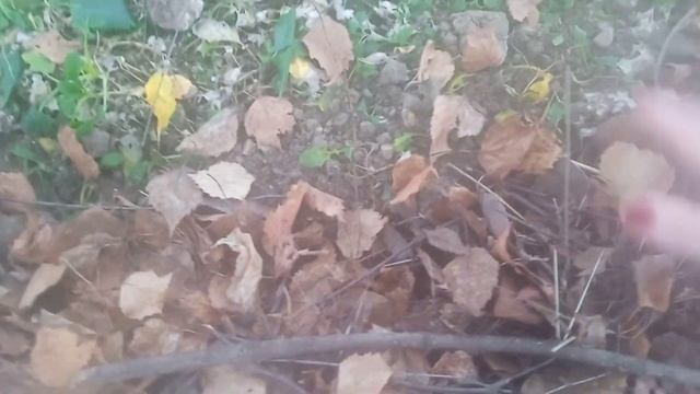 подзимний посев смотреть онлайн