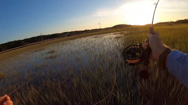 I'm Back! -- Fly Fishing on a Flood tide 2022 -- Redfish in Charleston смотреть онлайн