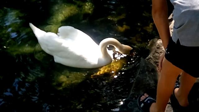 Из личного архива. смотреть онлайн