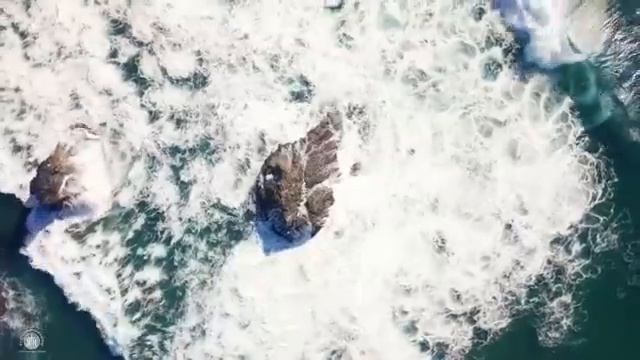 Гора дома Господня - Пою я Аллилуйя смотреть онлайн