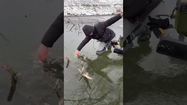 Хоть и не большой сазанчик, но упор давал добротный👏

 Чуть удочку не сломал😁