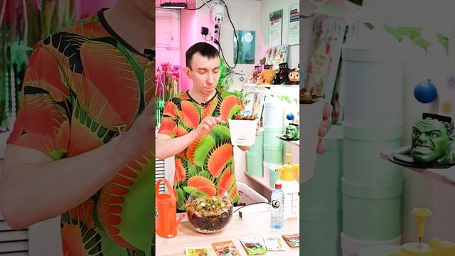 Самое необходимое для ухода за хищным растением. смотреть онлайн