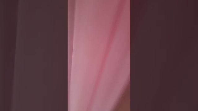 кот поймал стрекозу!!! смотреть онлайн