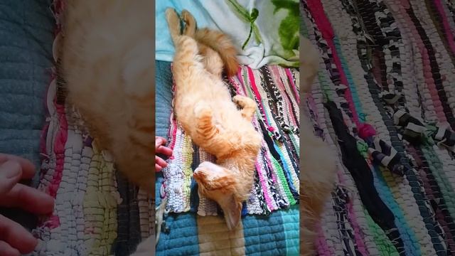 Сон дороже всего . смотреть онлайн