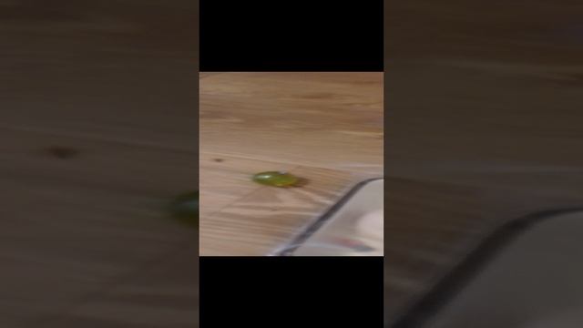 лапа смотреть онлайн