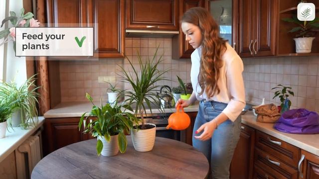 Eggshell Fertilizer for Plants | Easy DIY Fertilizers смотреть онлайн