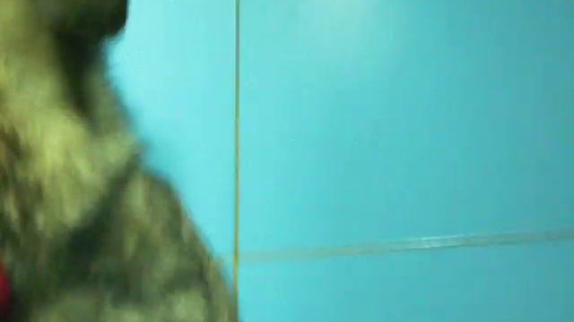 Чебуратор смотреть онлайн