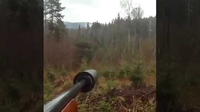Охота на лося смотреть онлайн